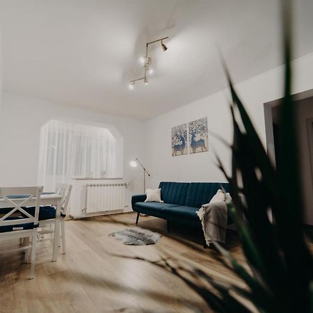 Apartamentul Albastru Vatra Dornei Dış mekan fotoğraf