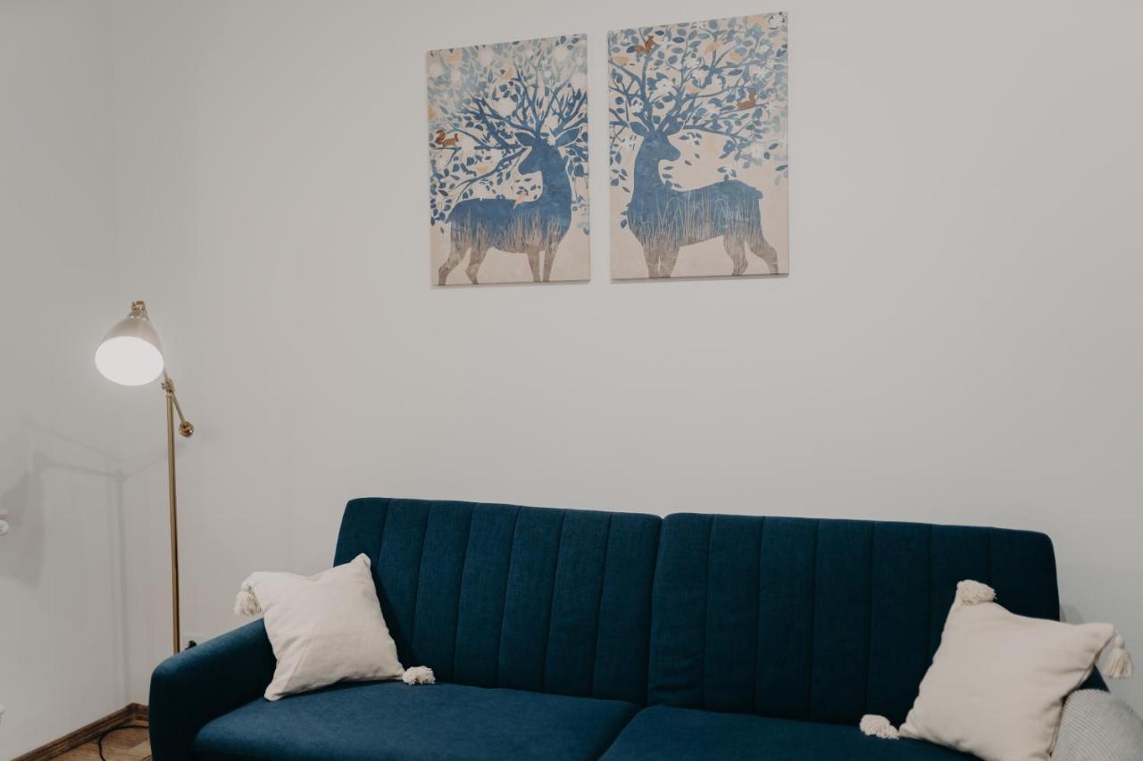 Apartamentul Albastru Vatra Dornei Dış mekan fotoğraf