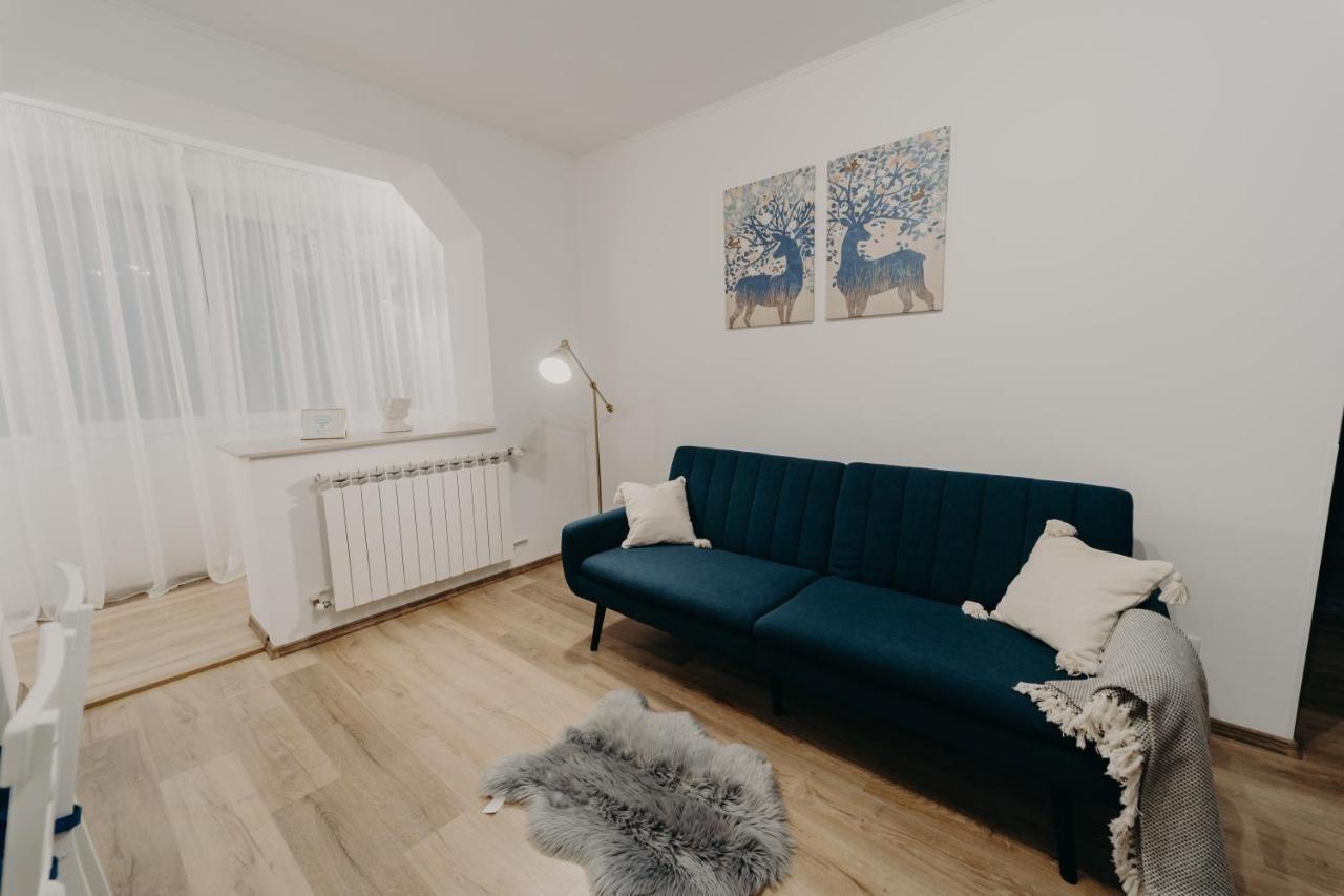 Apartamentul Albastru Vatra Dornei Dış mekan fotoğraf